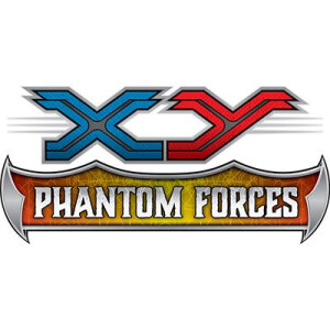 XY4 Phantom Forces