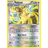 Raticate - 88/122 - Reverse Holo