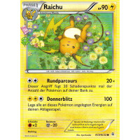 Raichu - RC9/RC32 - Common