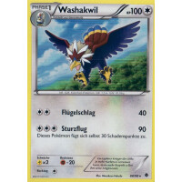 Washakwil - 88/98 - Holo