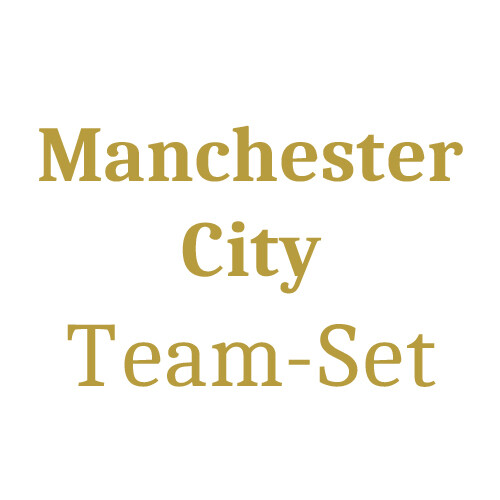 Manchester City Team Set (15 Karten) -  Chance auf Parallels/Nummerierte/Insert und Auto Karten