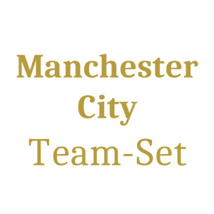 Manchester City Team Set (15 Karten) -  Chance auf...