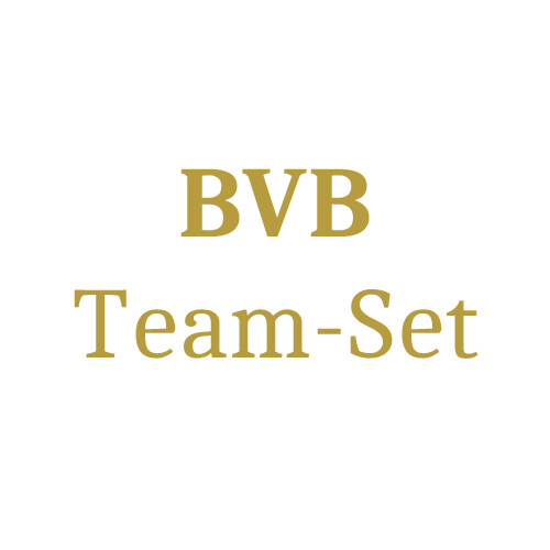 Borussia Dortmund Team Set (15 Karten) -  Chance auf Parallels/Nummerierte/Insert und Auto Karten
