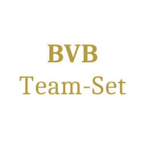 Borussia Dortmund Team Set (15 Karten) -  Chance auf...