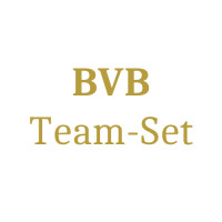 Borussia Dortmund Team Set (15 Karten) -  Chance auf Parallels/Nummerierte/Insert und Auto Karten