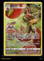 Drapfel Astralglanz TG02/TG30 Holo Deuts gallery