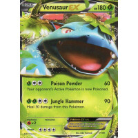 Venusaur-EX - 1/146 - EX