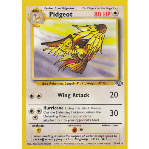 Pidgeot - 24/64 - Rare