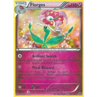 Florges - 66/106 - Holo