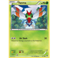 Yanma - 3/119 - Common
