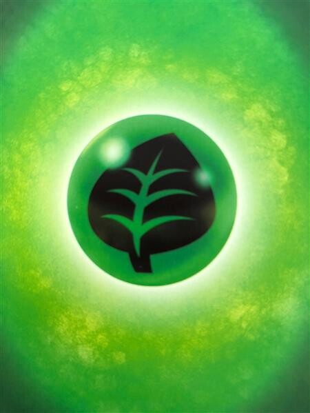 25 Pflanzen Basis Energie Pokemon Karten Boosterfrisch!