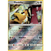 Flunkifer - 91/168 - Reverse Holo