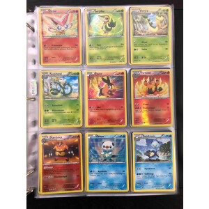 Kompletter PokeDex - Generation 5 - Pokemon Karten Nummer 494 bis 649